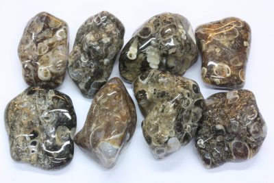 Agat Turitella polert 3 til 4cm