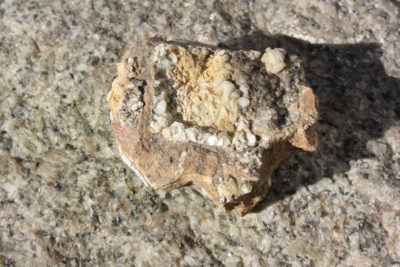 Dickitt 34g 3x4cm fra Mas Alary Herault i Frankrike