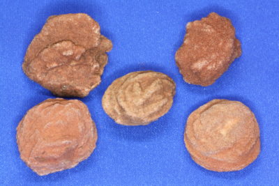 Baryttrose 2 til 3cm i rød ørkensand fra Norman Cleveland Co Oklahoma USA