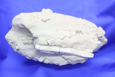 Diopsid og Tremolitt krystaller i moderstein fra Akersvatnet i Rana Norge 4,8kg 15x25cm