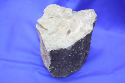 Forsteinet trestamme Øvre Trias ca 225mill. år  fra Navajo Co Arizona USA 4.9kg 14x16cm