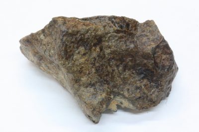 Stein Meteoritt 21.4g 25x37mm fra Sahara ørkenen i Marokko