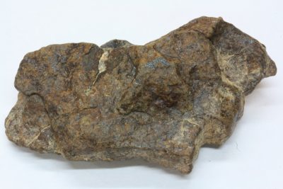 Stein Meteoritt 28.8g 25x52mm fra Sahara ørkenen i Marokko