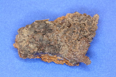 Endlichitt A krystaller på moderstein fra Chihuahua i Mexico 43g 2.5×4.5cm