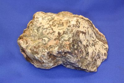 Travertin 0.85kg 8x12cm fra Mexico