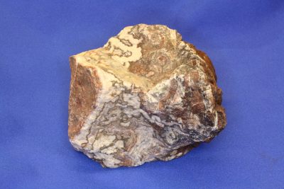 Travertin 0.7kg 7x9cm fra Mexico
