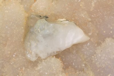 Opal blå råstein 4.5g 22x30mm fra Hepner Oregon USA