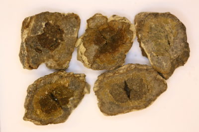 Anapaitt geoder fra Teruel i Spania 3 til 4cm
