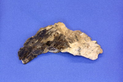 Astrophyllitt i moderstein fra Tvedalen i Larvik 65g 3x8cm