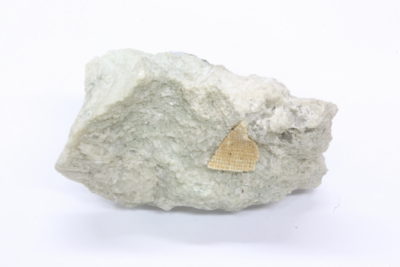 Elpiditt 17g 3x4cm fra Vøra, Vesterøya Sandefjord Norge