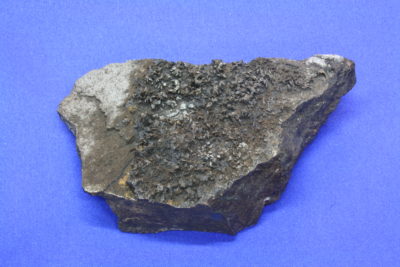 Karyopilitt A 200g 5×9.5cm fra Harstigen Mine Persberg Filipstad Sverige