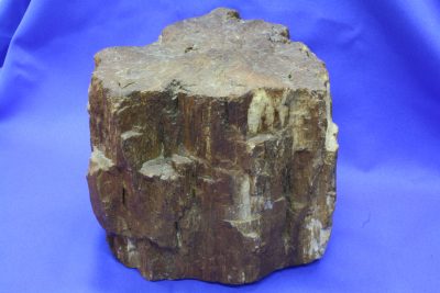 Forsteinet trestamme Øvre Trias ca 225mill. år  fra Navajo Co Arizona USA 5.7kg 15x17cm