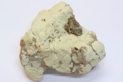 Bukovskyitt 5g 2×2.5cm fra Kank, Kutnà Hora, Bohemien i Tsjekkia
