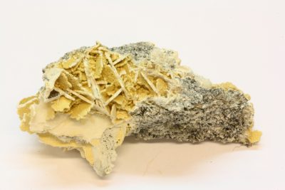 Chiavennitt A 15.5g 2.5×5.5cm fra Tuften quarry i Tvedalen, Norge