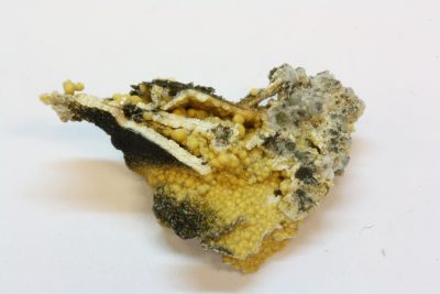 Chiavennitt B 1g 1.5×2.5cm fra Tuften quarry i Tvedalen, Norge. I mikroeske
