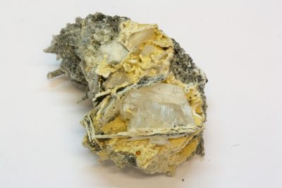 Chiavennitt C 11g 2.5×3.5cm fra Tuften quarry i Tvedalen, Norge.
