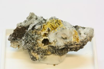 Chiavennitt C 17g 2x5cm fra Tuften quarry i Tvedalen, Norge Montert i plasteske