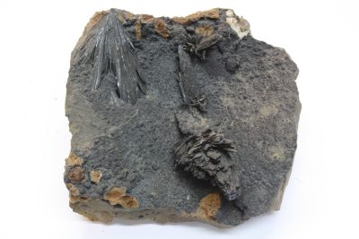 Vivianitt 290g 7.5 x 7.5cm fra Kertsch i Ukraina. MEGET SKJØR