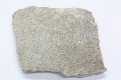 Dinosaur eggeskall   Titanosaurus  3,5  x  4cm Kritt ca 85mill. år fra Patagonia Argentina