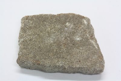 Dinosaur eggeskall D  Titanosaurus 2  x  3cm Kritt ca 85mill. år fra Patagonia Argentina