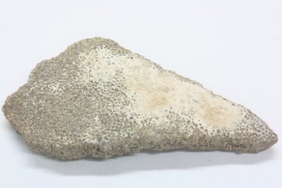Dinosaur eggeskall E  Titanosaurus 2  x  4,5cm Kritt ca 85mill. år fra Patagonia Argentina
